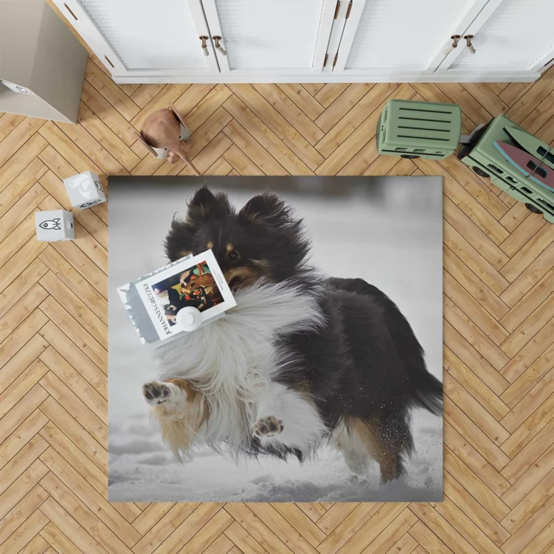 Loving Collie Beauty: Rough Collie Quartet Floor Rug