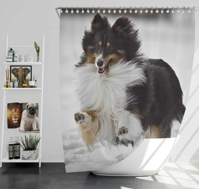 Loving Collie Beauty: Rough Collie Quartet Shower Curtain