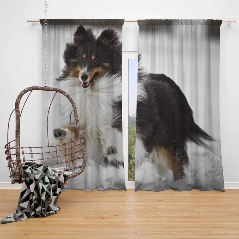 Loving Collie Beauty: Rough Collie Quartet Window Curtain