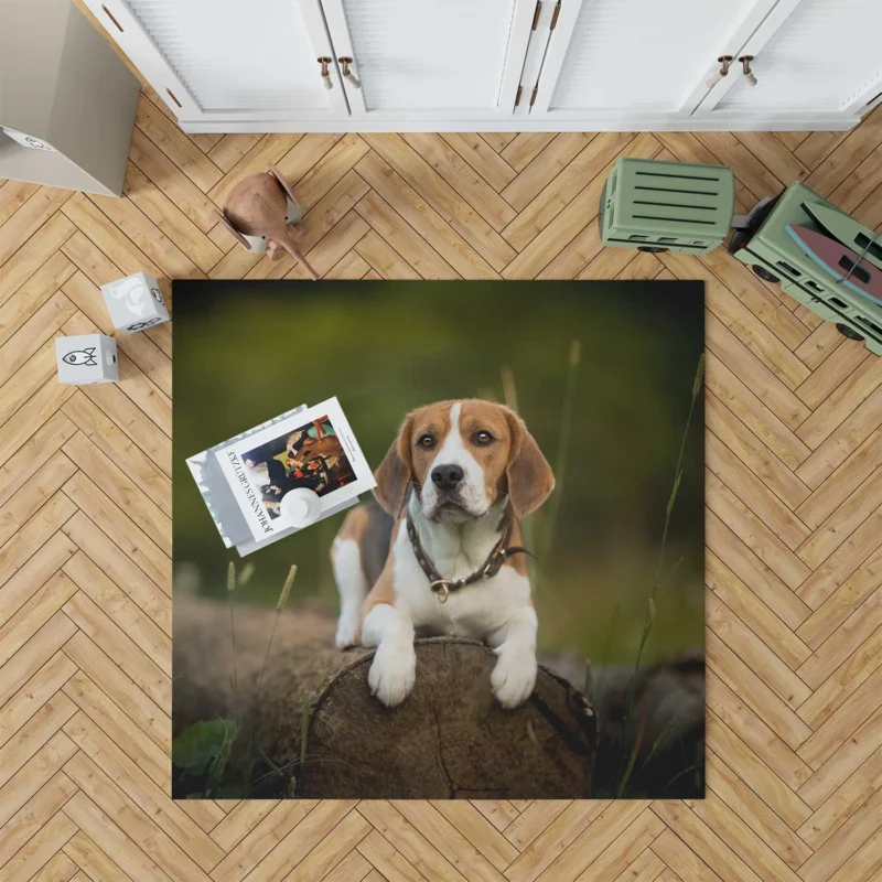 Loyal Beagle: The Endearing Beagle Breed Floor Rug