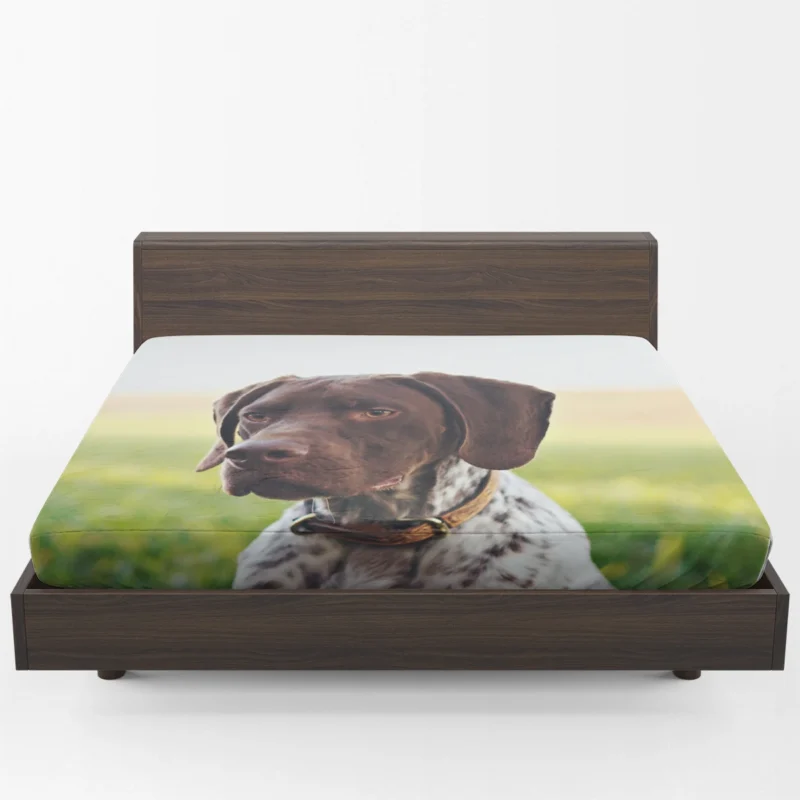 Loyal Canine Companions: Hovawart Dogs Fitted Sheet 1