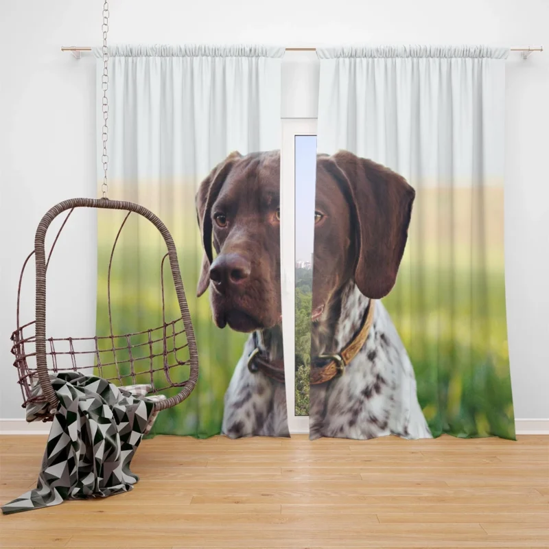 Loyal Canine Companions: Hovawart Dogs Window Curtain