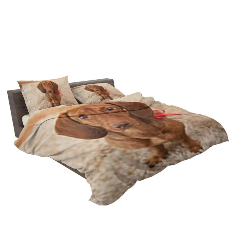 Loyal Dachshund Dog: Fourfold Quartet Bedding Set 2