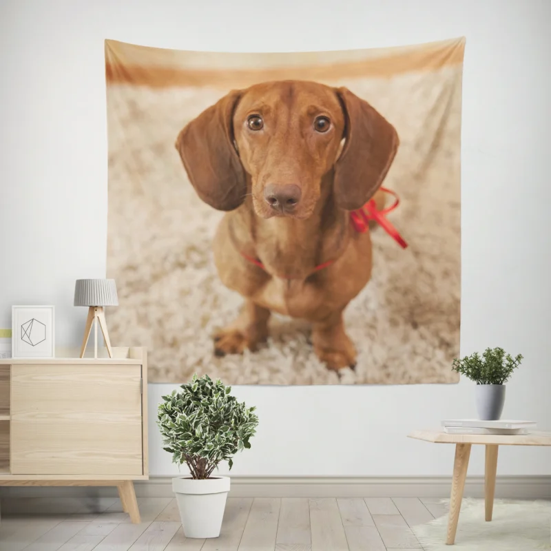 Loyal Dachshund Dog  Fourfold Quartet Wall Tapestry