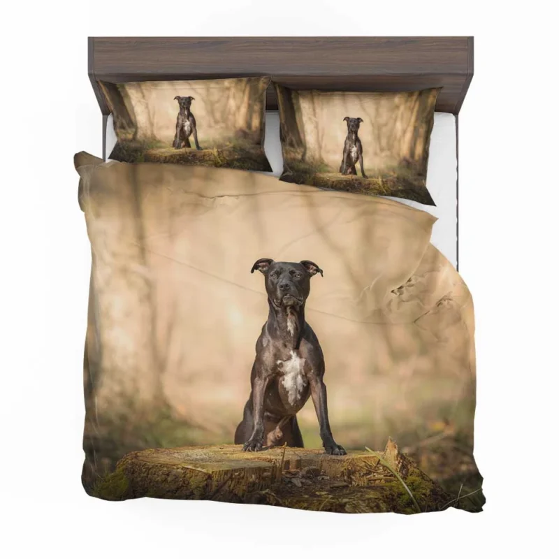 Loyal Elegance in Fourfold: American Pit Bull Terrier Quartet Bedding Set 1