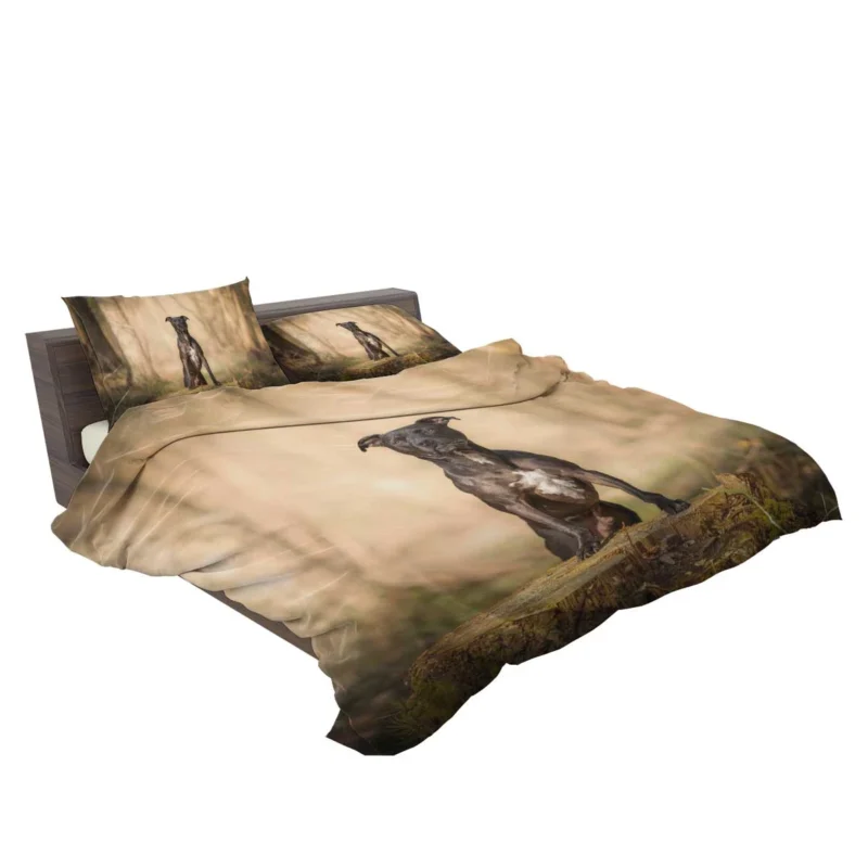 Loyal Elegance in Fourfold: American Pit Bull Terrier Quartet Bedding Set 2