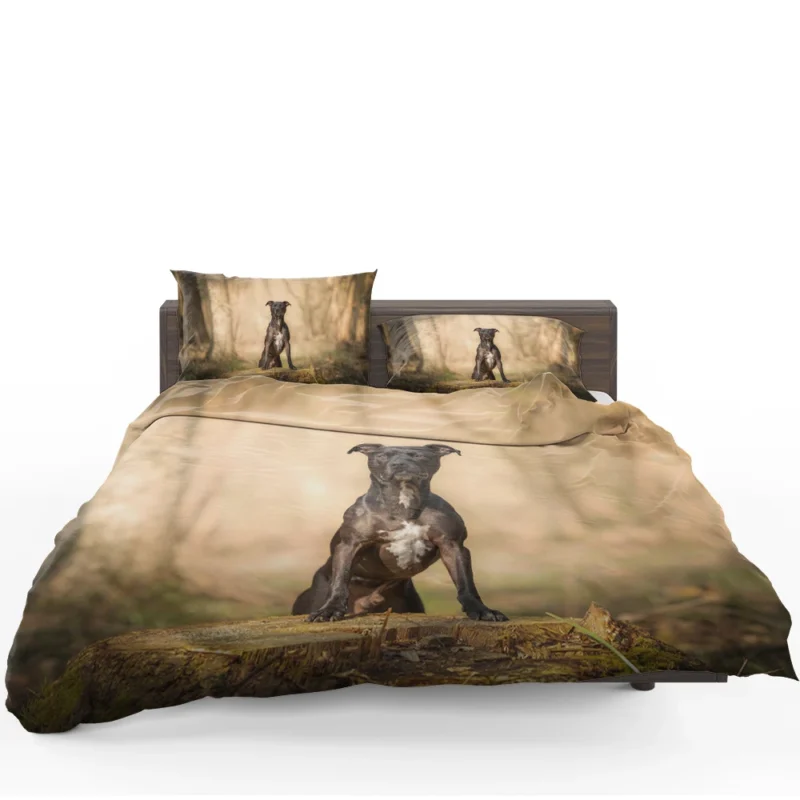 Loyal Elegance in Fourfold: American Pit Bull Terrier Quartet Bedding Set