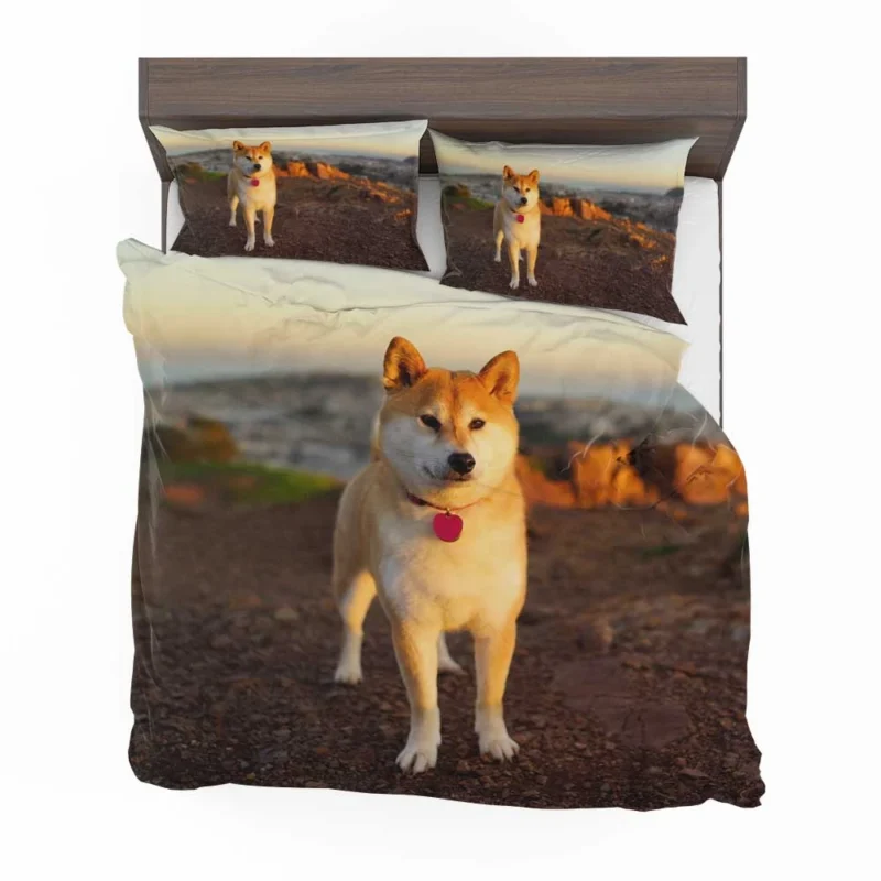 Loyal Elegance in Fourfold: The Akita Quartet Bedding Set 1