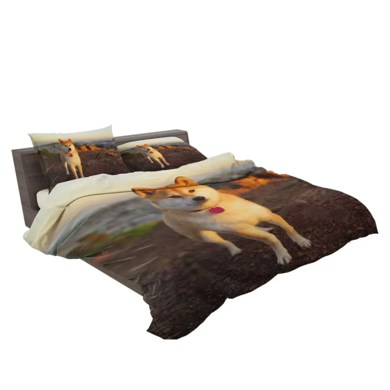 Loyal Elegance in Fourfold: The Akita Quartet Bedding Set 2