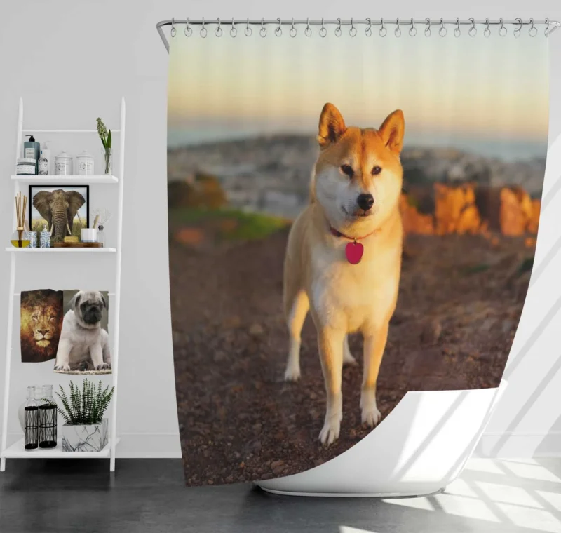 Loyal Elegance in Fourfold: The Akita Quartet Shower Curtain