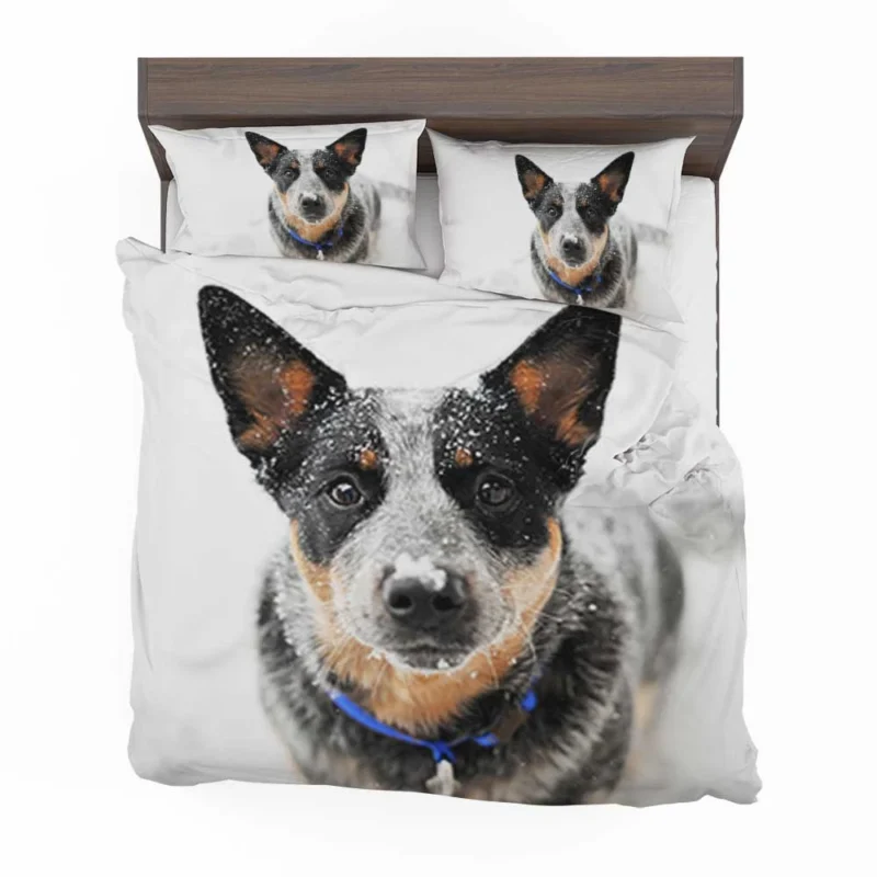 Loyal and Active Dogs: Australian Cattle Dog Bedding Set 1