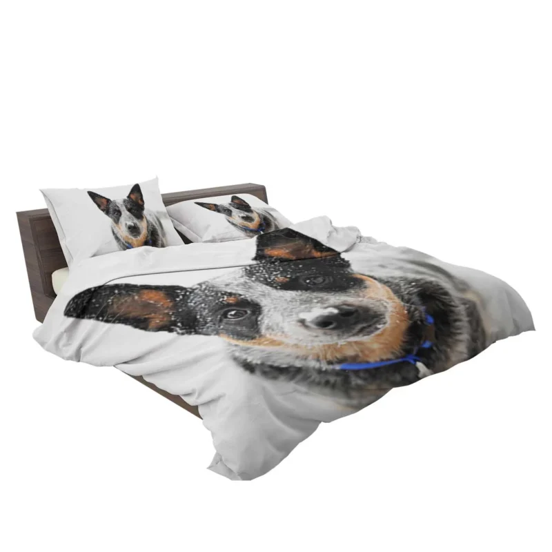 Loyal and Active Dogs: Australian Cattle Dog Bedding Set 2