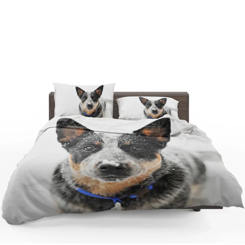 Loyal and Active Dogs: Australian Cattle Dog Bedding Set