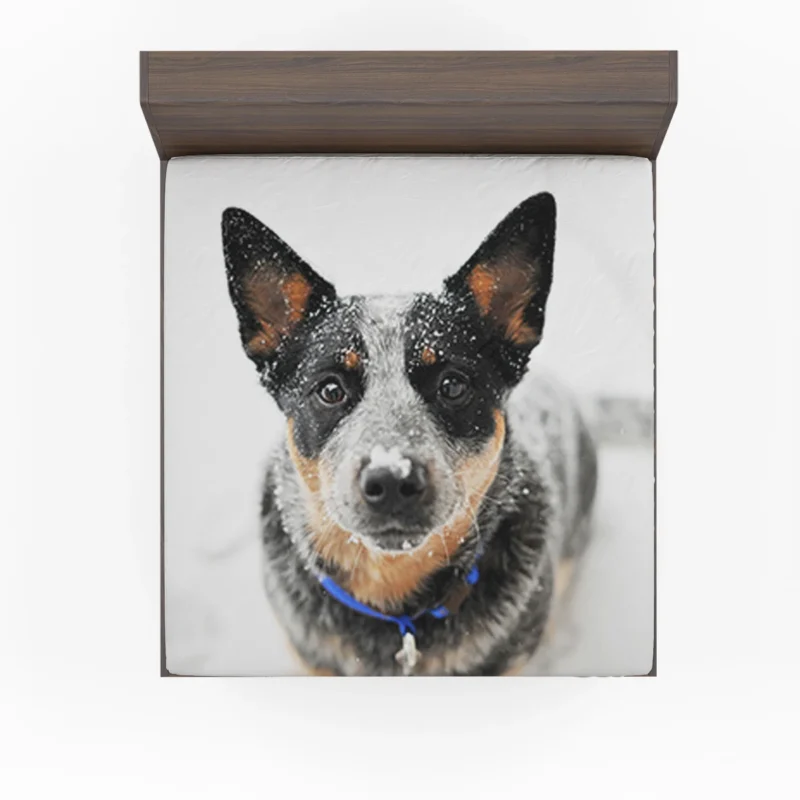 Loyal and Active Dogs: Australian Cattle Dog Fitted Sheet