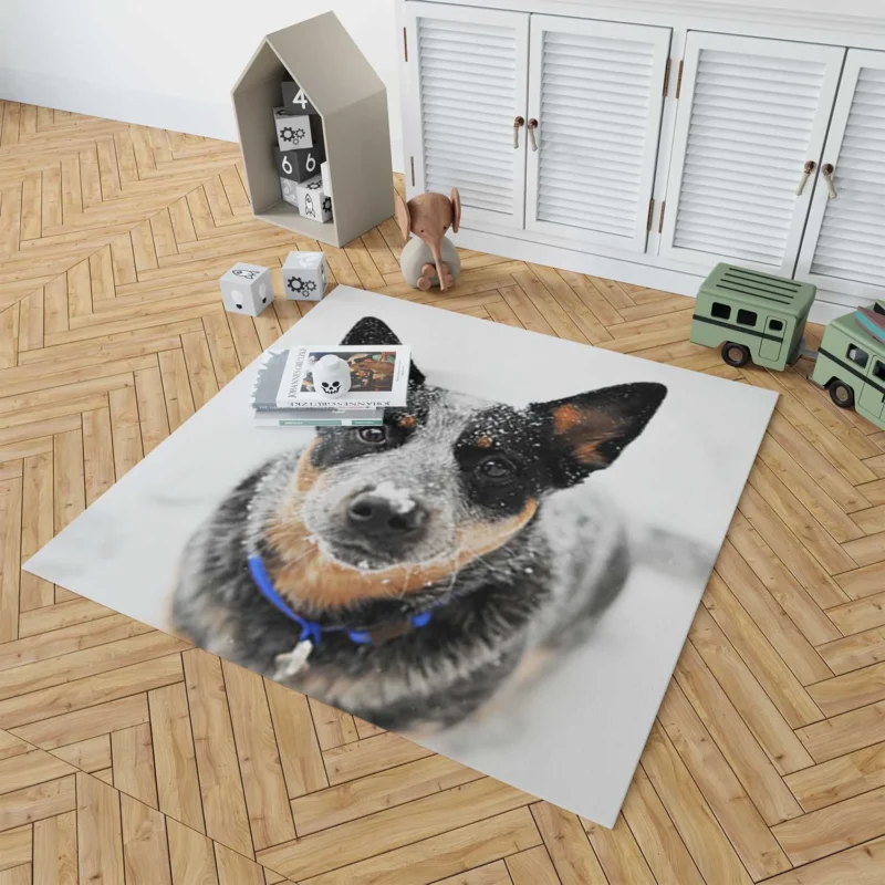 Loyal and Active Dogs: Australian Cattle Dog Floor Rug 1