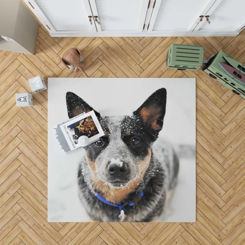 Loyal and Active Dogs: Australian Cattle Dog Floor Rug