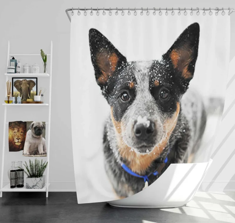 Loyal and Active Dogs: Australian Cattle Dog Shower Curtain