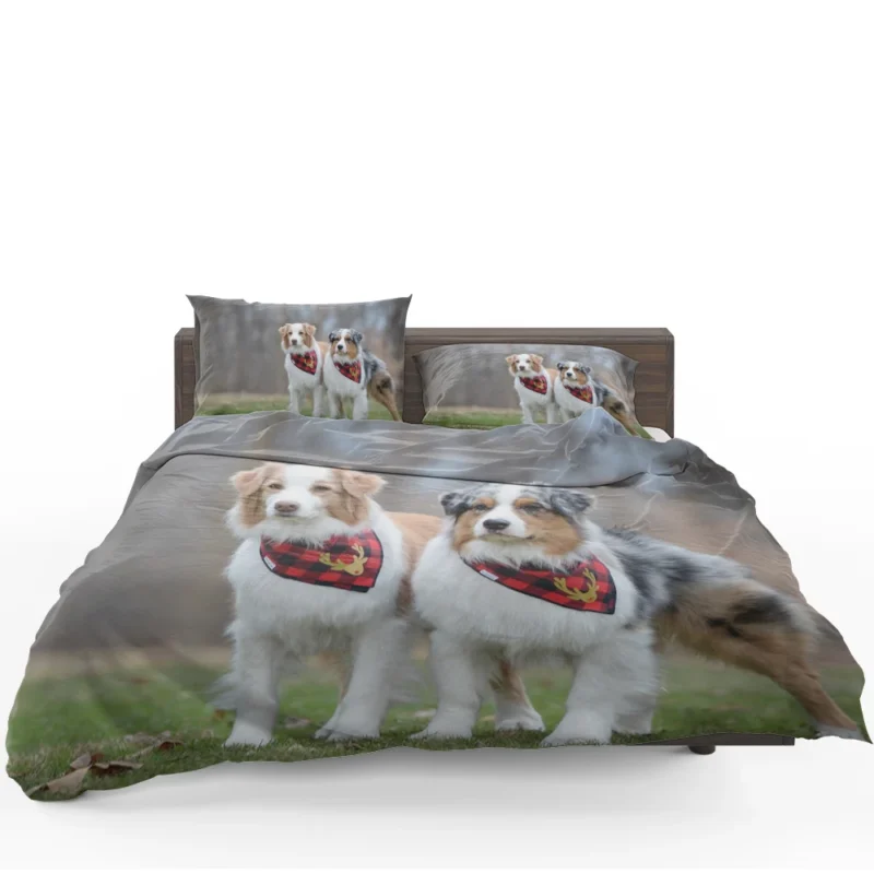 Loyal and Energetic Brave Dogs: Australian Shepherd Bedding Set