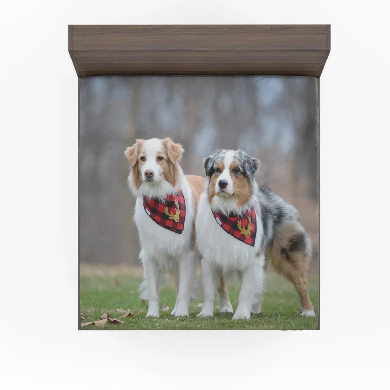 Loyal and Energetic Brave Dogs: Australian Shepherd Fitted Sheet