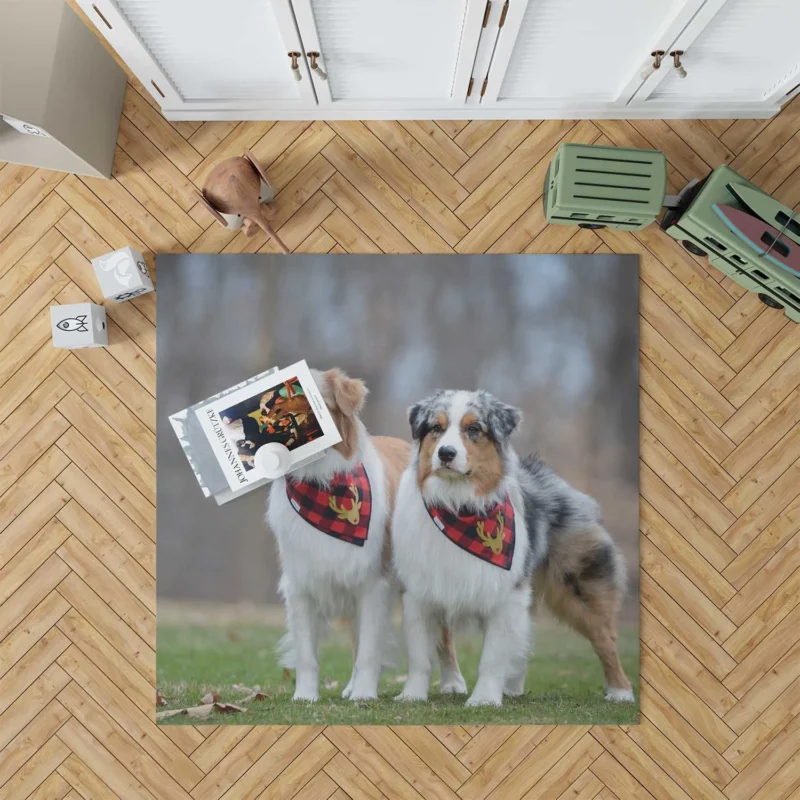 Loyal and Energetic Brave Dogs: Australian Shepherd Floor Rug