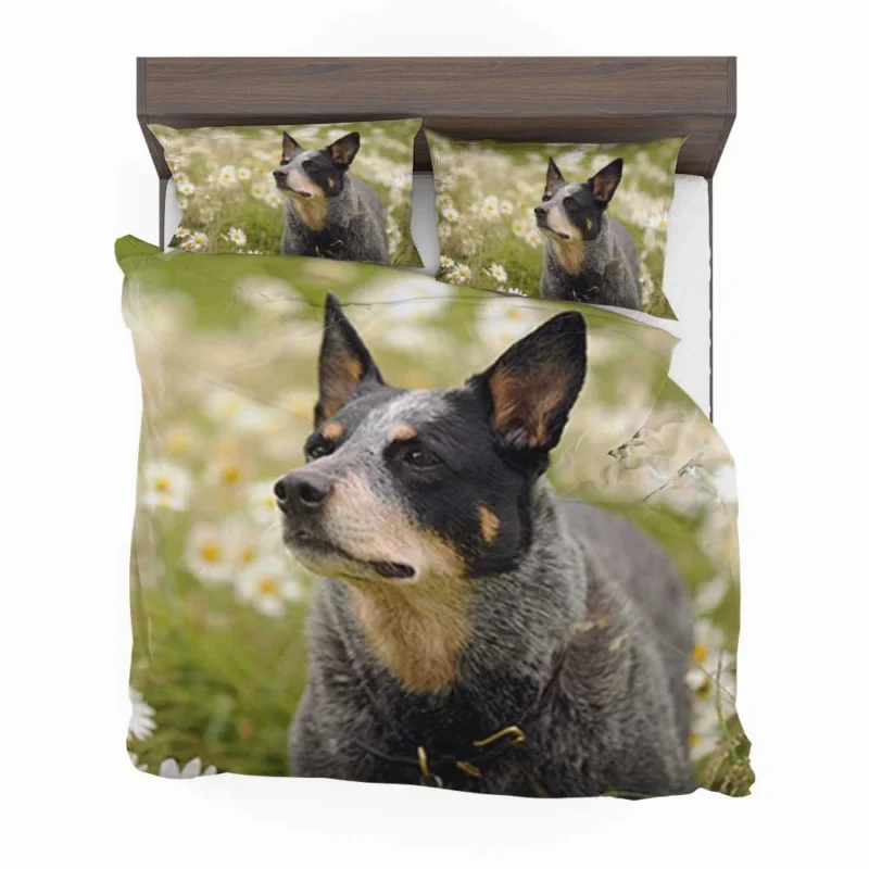 Loyal and Energetic Dogs: Australian Cattle Dog Bedding Set 1