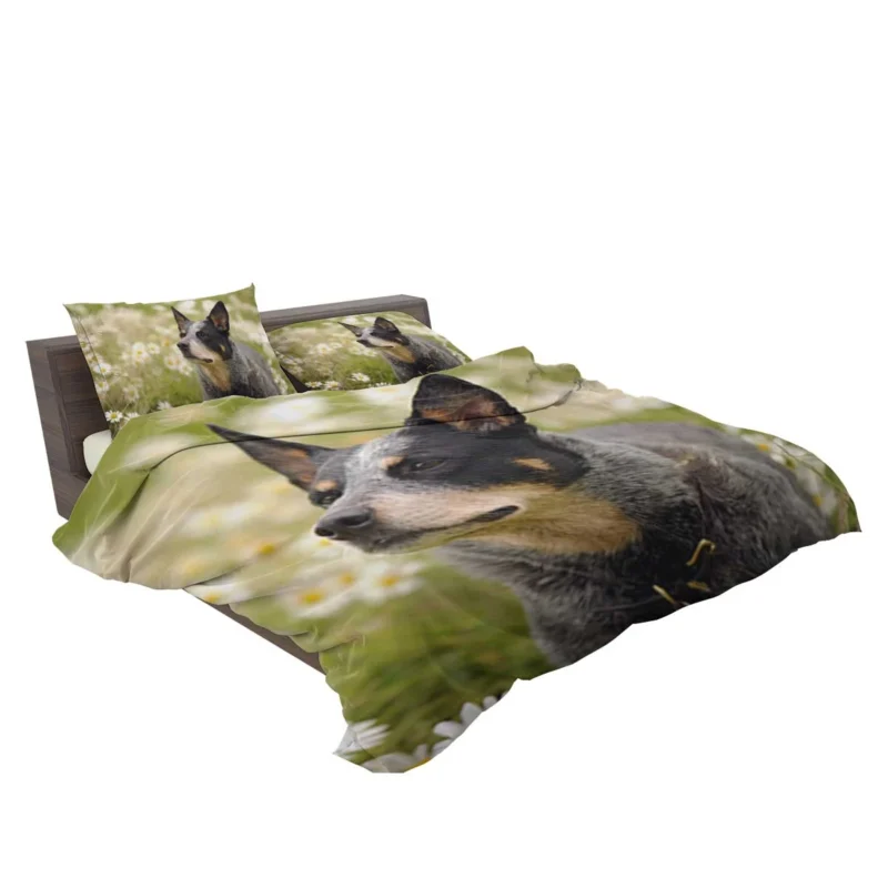 Loyal and Energetic Dogs: Australian Cattle Dog Bedding Set 2