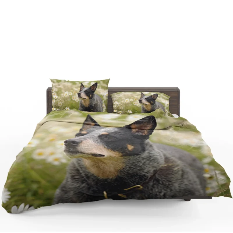 Loyal and Energetic Dogs: Australian Cattle Dog Bedding Set