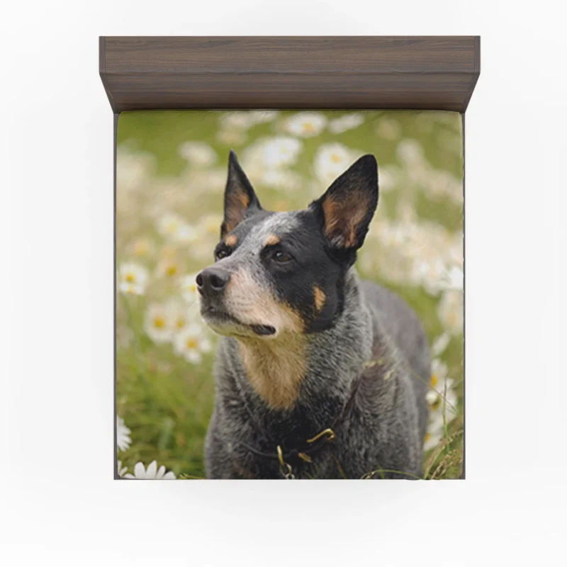 Loyal and Energetic Dogs: Australian Cattle Dog Fitted Sheet