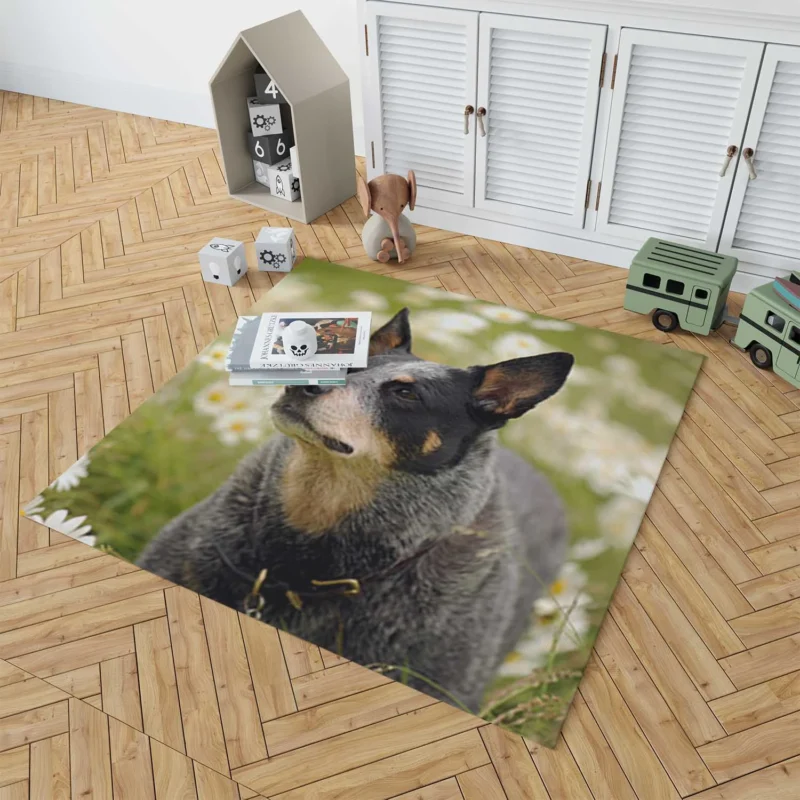 Loyal and Energetic Dogs: Australian Cattle Dog Floor Rug 1