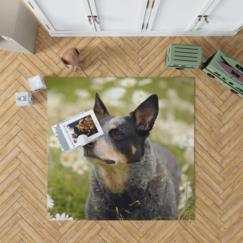 Loyal and Energetic Dogs: Australian Cattle Dog Floor Rug