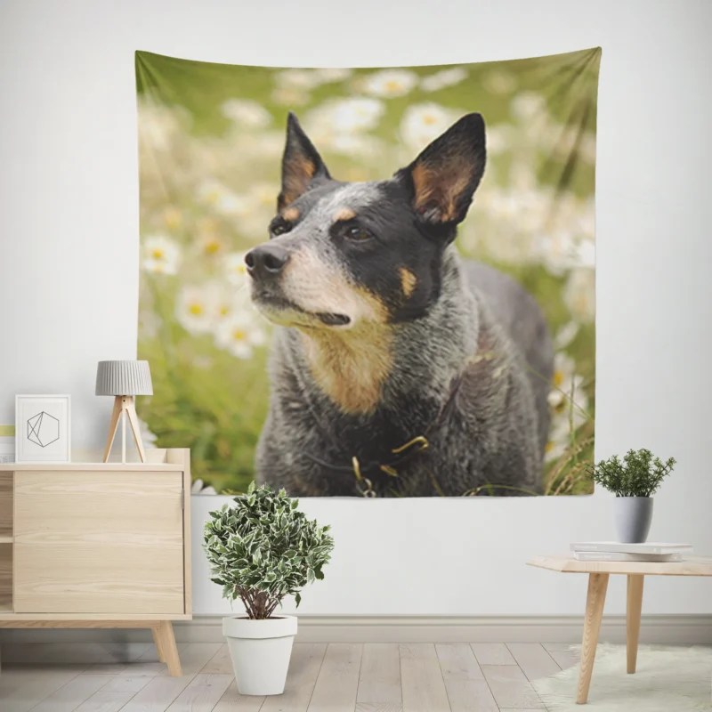 Loyal and Energetic Dogs  Australian Cattle Dog Wall Tapestry