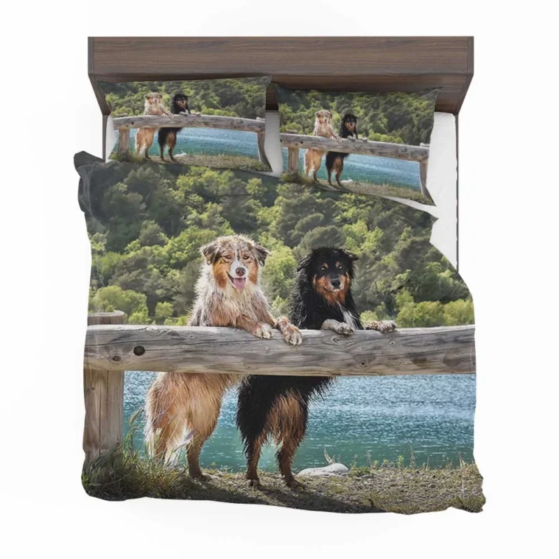 Loyal and Energetic Dogs: Australian Shepherd Bedding Set 1