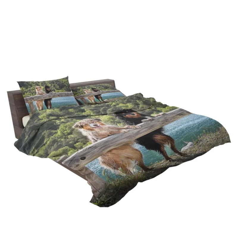 Loyal and Energetic Dogs: Australian Shepherd Bedding Set 2