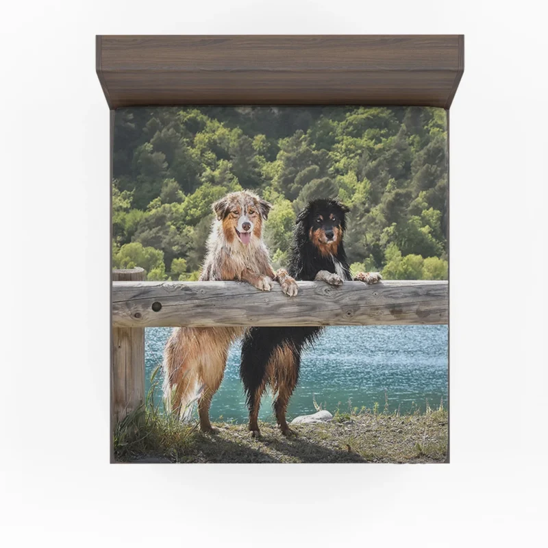 Loyal and Energetic Dogs: Australian Shepherd Fitted Sheet