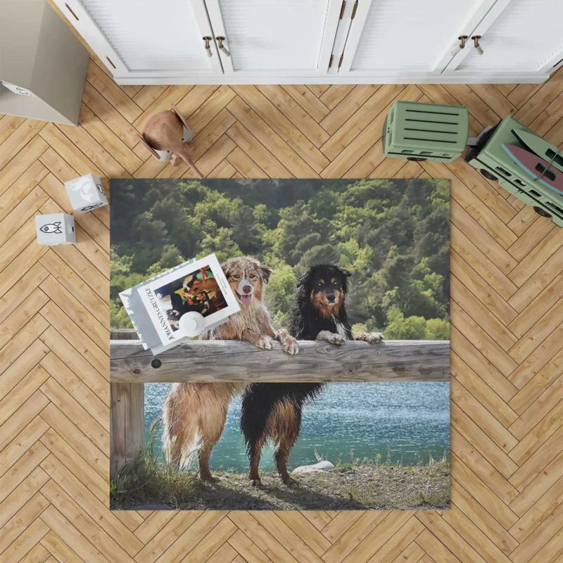 Loyal and Energetic Dogs: Australian Shepherd Floor Rug