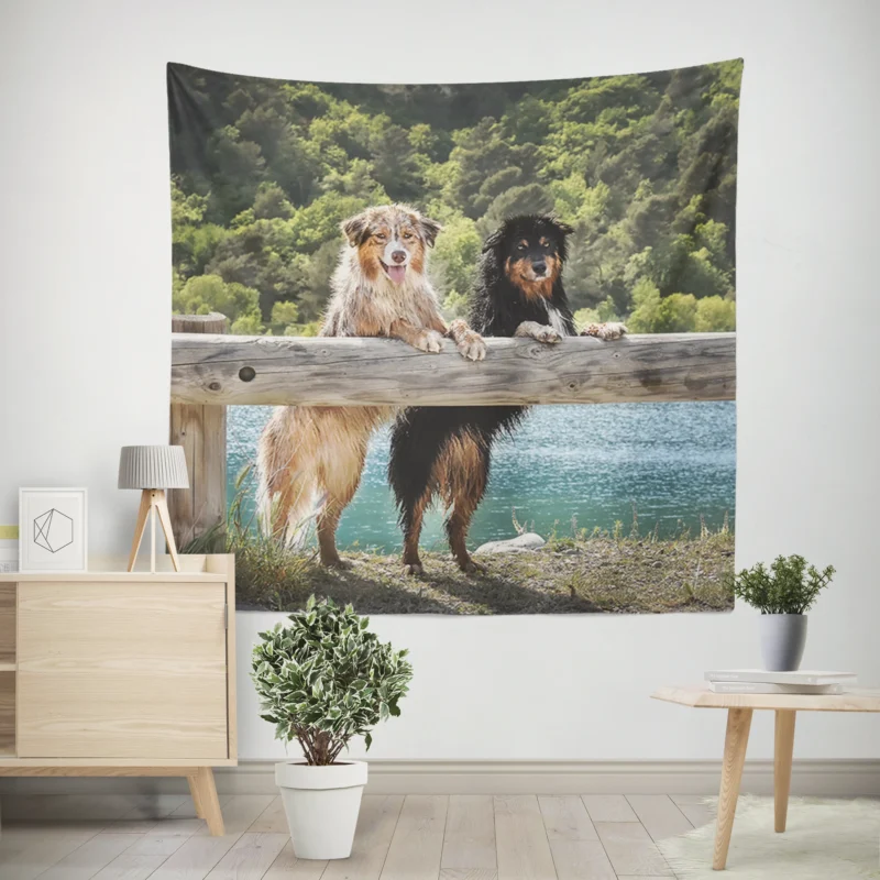 Loyal and Energetic Dogs  Australian Shepherd Wall Tapestry