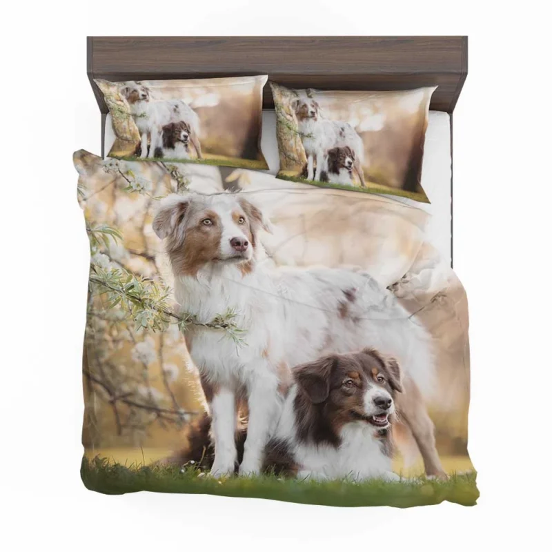 Loyal and Energetic Playful Dogs: Australian Shepherd Bedding Set 1