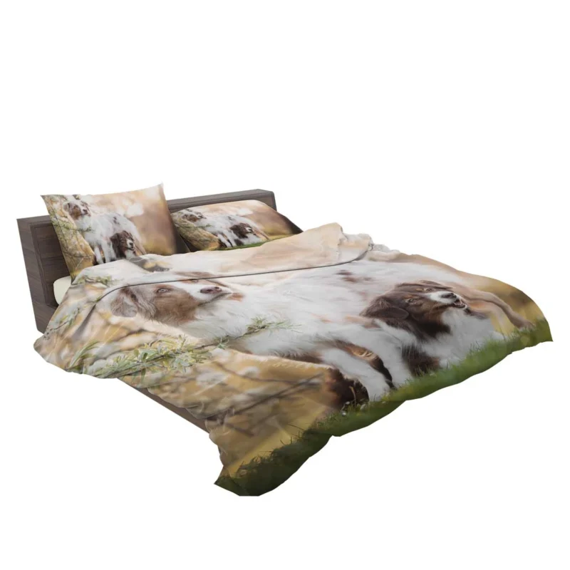 Loyal and Energetic Playful Dogs: Australian Shepherd Bedding Set 2