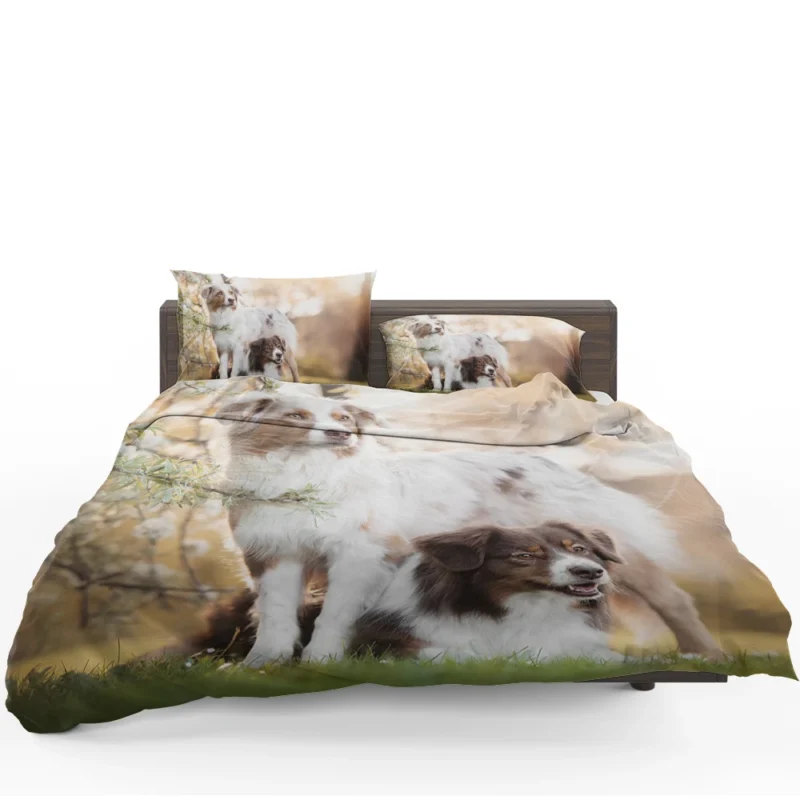 Loyal and Energetic Playful Dogs: Australian Shepherd Bedding Set