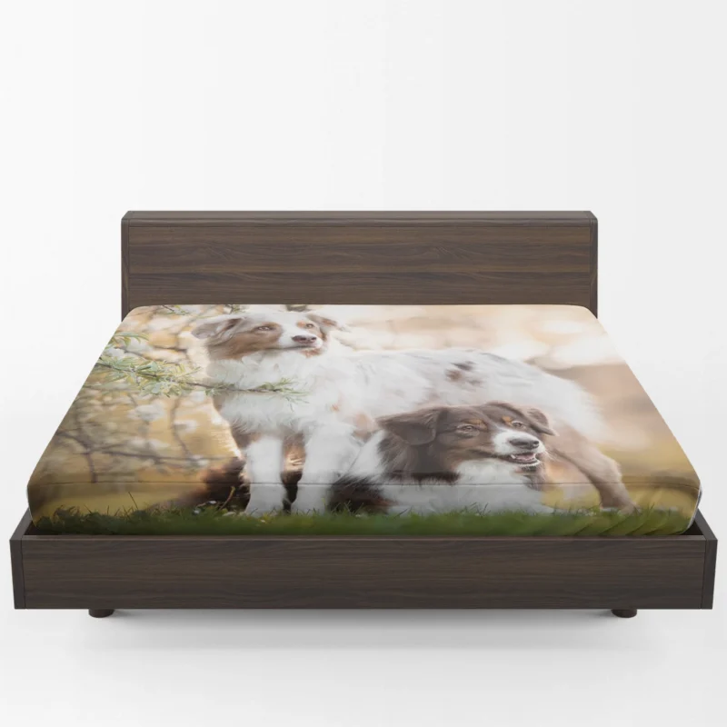 Loyal and Energetic Playful Dogs: Australian Shepherd Fitted Sheet 1
