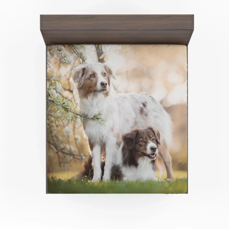 Loyal and Energetic Playful Dogs: Australian Shepherd Fitted Sheet