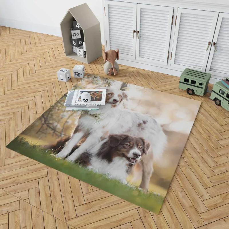 Loyal and Energetic Playful Dogs: Australian Shepherd Floor Rug 1