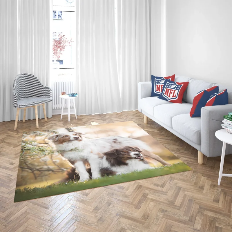 Loyal and Energetic Playful Dogs: Australian Shepherd Floor Rug 2