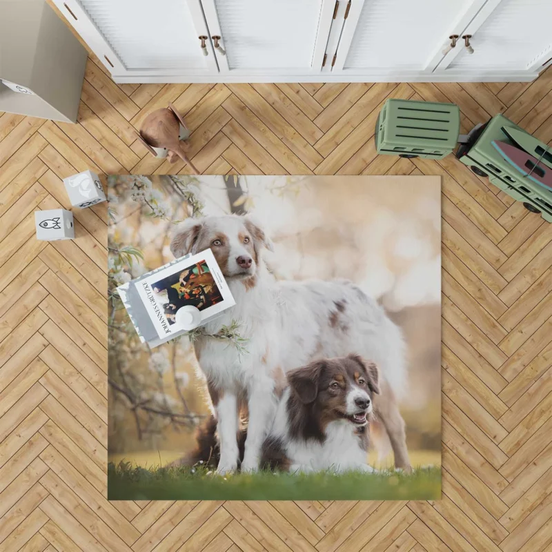 Loyal and Energetic Playful Dogs: Australian Shepherd Floor Rug