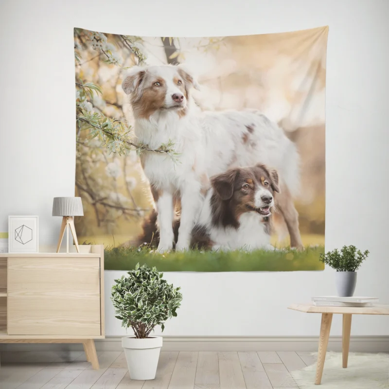 Loyal and Energetic Playful Dogs  Australian Shepherd Wall Tapestry