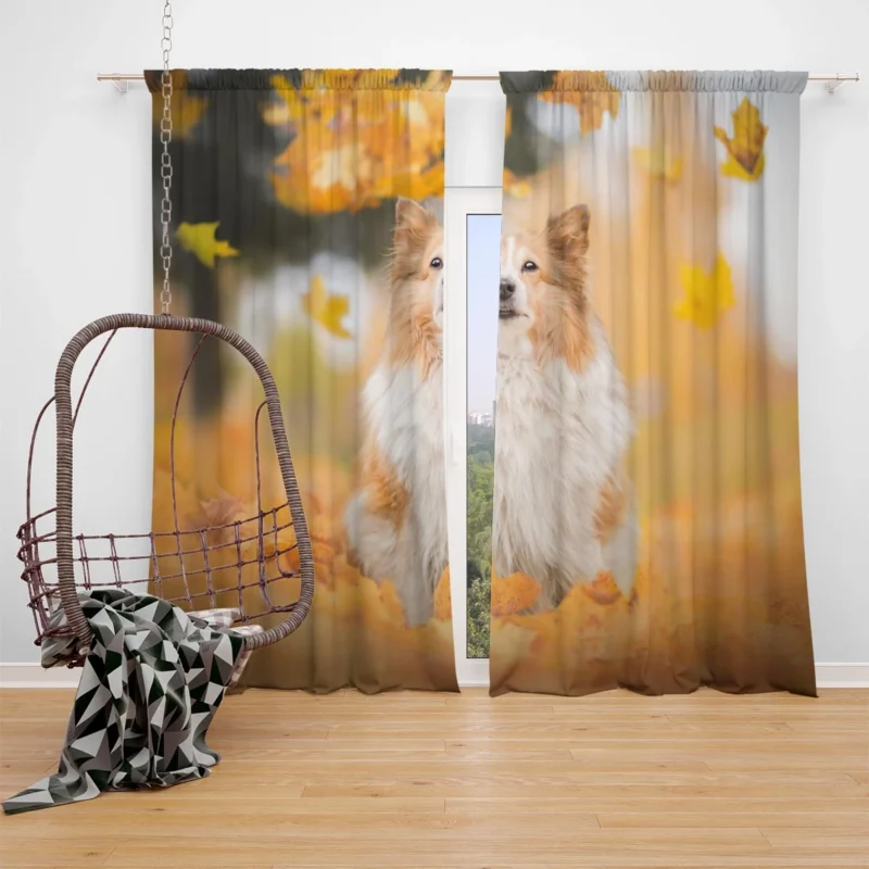 Magic of Fall Leaves: Shetland Sheepdog Quartet Window Curtain