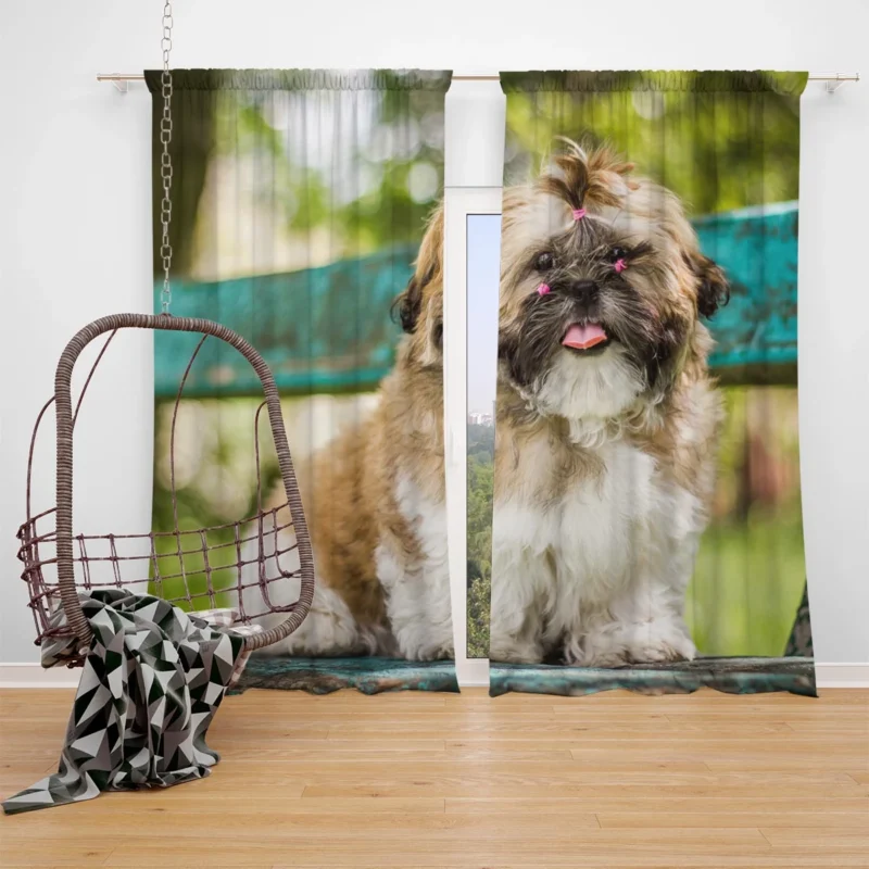 Magical Bokeh Setting: Shih Tzu Quartet Window Curtain