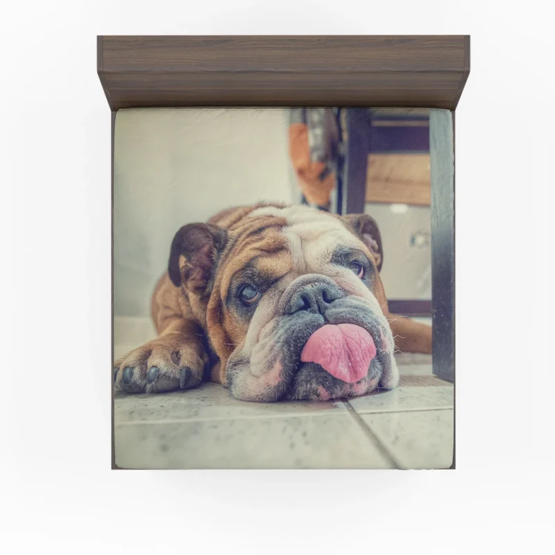 Majestic Bulldog Moments: Bulldog Quartet Fitted Sheet