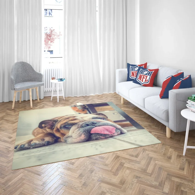 Majestic Bulldog Moments: Bulldog Quartet Floor Rug 2