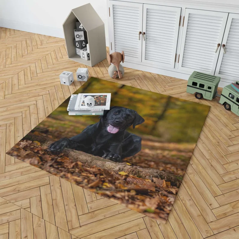 Majestic Canine Beauty: Labrador Quartet Floor Rug 1